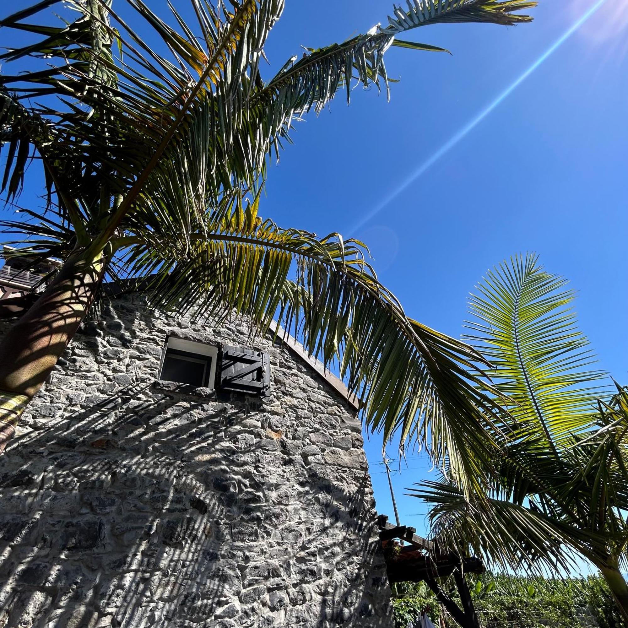As Casinhas Da Madeira - Cosy Stone Cottage In A Subtropical Garden Arco da Calheta  Exterior foto