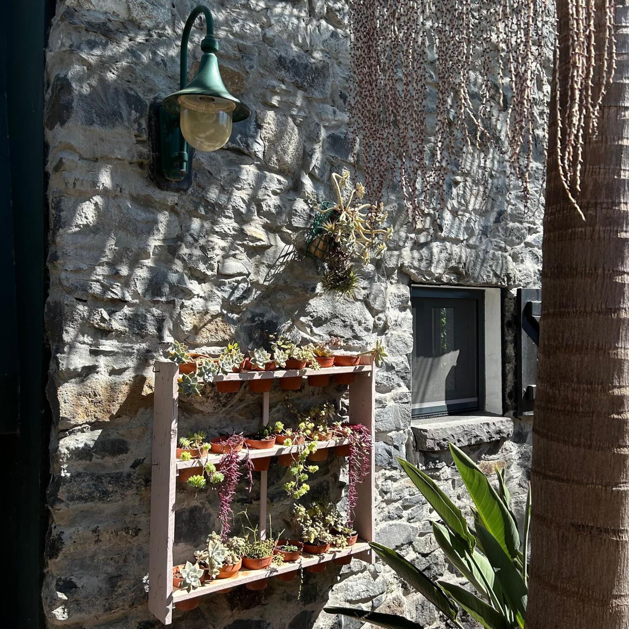 As Casinhas Da Madeira - Cosy Stone Cottage In A Subtropical Garden Arco da Calheta  Exterior foto